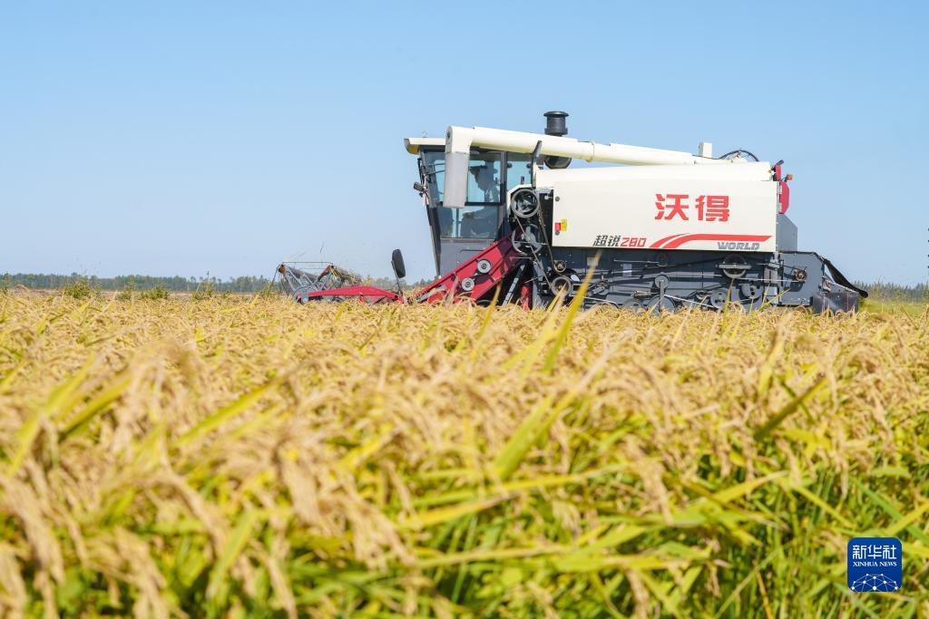 澳门幸运6怎么玩